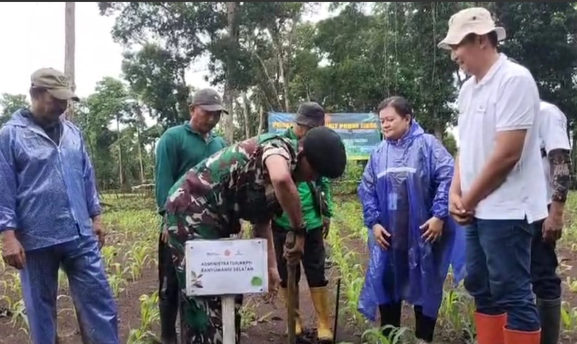 Dukung Program Ketahanan Pangan nasional, Perhutani Bersama TNI dan Stakeholder Tanam Ribuan Pohon Di Banyuwangi