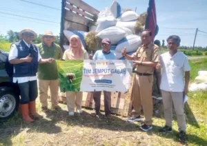 Dukung Program Swasembada Pangan, Petani Desa Bomo Tingkatkan Produktivitas Panen Padi