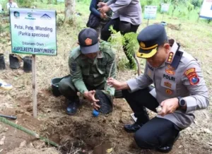 Kapolresta Banyuwangi Hadiri Giat Penanaman dan Penghijauan Bersama PT BSI di Agathis Forest Licin