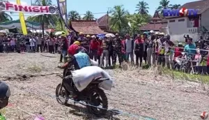 Dibuka Oleh Kapolresta Banyuwangi, Festival Unik Balap Motor Manol Gabah di Sawah