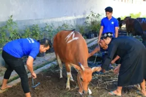 Idul Adha di Lapas Banyuwangi: Sholat Id & Qurban Bareng Warga Binaan