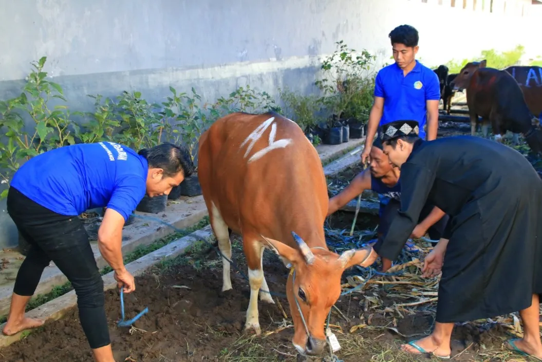 Idul Adha di Lapas Banyuwangi: Sholat Id & Qurban Bareng Warga Binaan