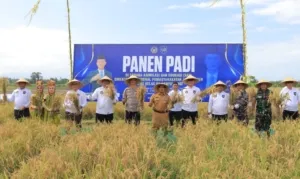 Panen Raya di SAE Lapas Banyuwangi, Dukung Ketahanan Pangan Nasional