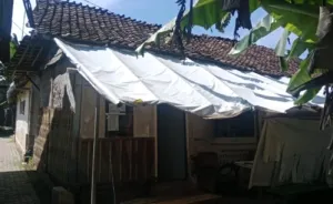 Miris! Rumah Warga Rogojampi Nyaris Roboh, Tak Tersentuh Program Bedah Rumah
