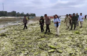 Tim Gabungan Sisir Pantai Plengkung Cari Korban Kapal Tenggelam KMP Tunu Pratama Jaya