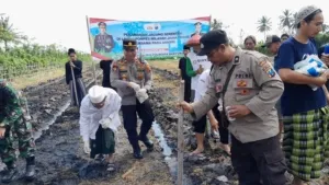 Dukung Program Ketahanan Pangan, Polsek Tegaldlimo Tanam Jagung Bersama Pesantren dan Warga