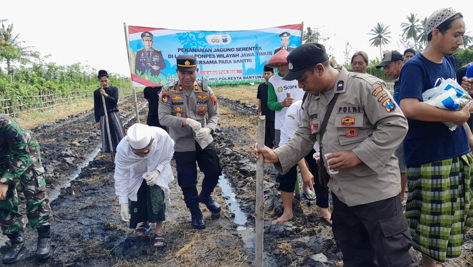 Dukung Program Ketahanan Pangan, Polsek Tegaldlimo Tanam Jagung Bersama Pesantren dan Warga