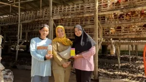 12 Ribu Ekor Ayam di Wilayah Puskeswan Genteng Jalani Vaksinasi Flu Burung