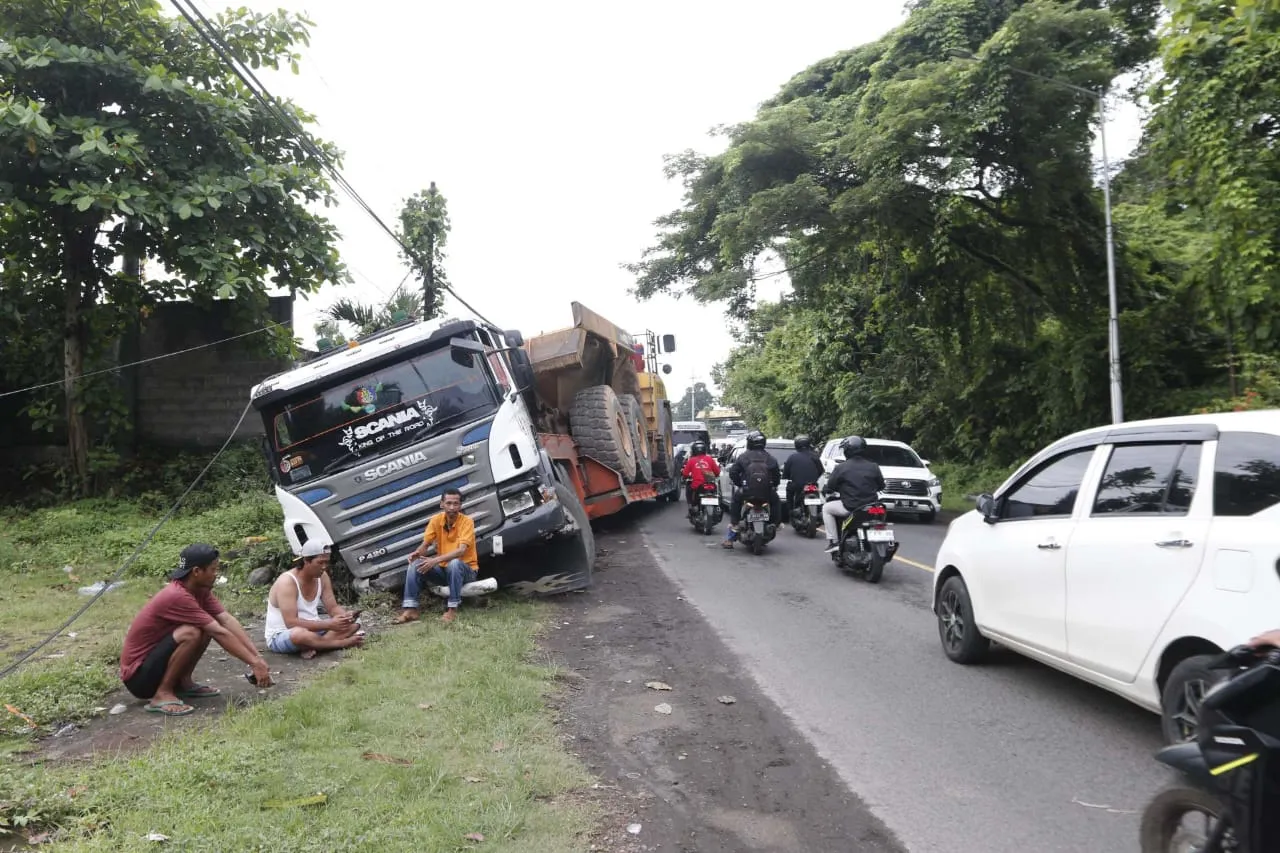 Truk Trailer Terperosok di Jalan Nasional Jember-Banyuwangi, Lalu Lintas Buka Tutup