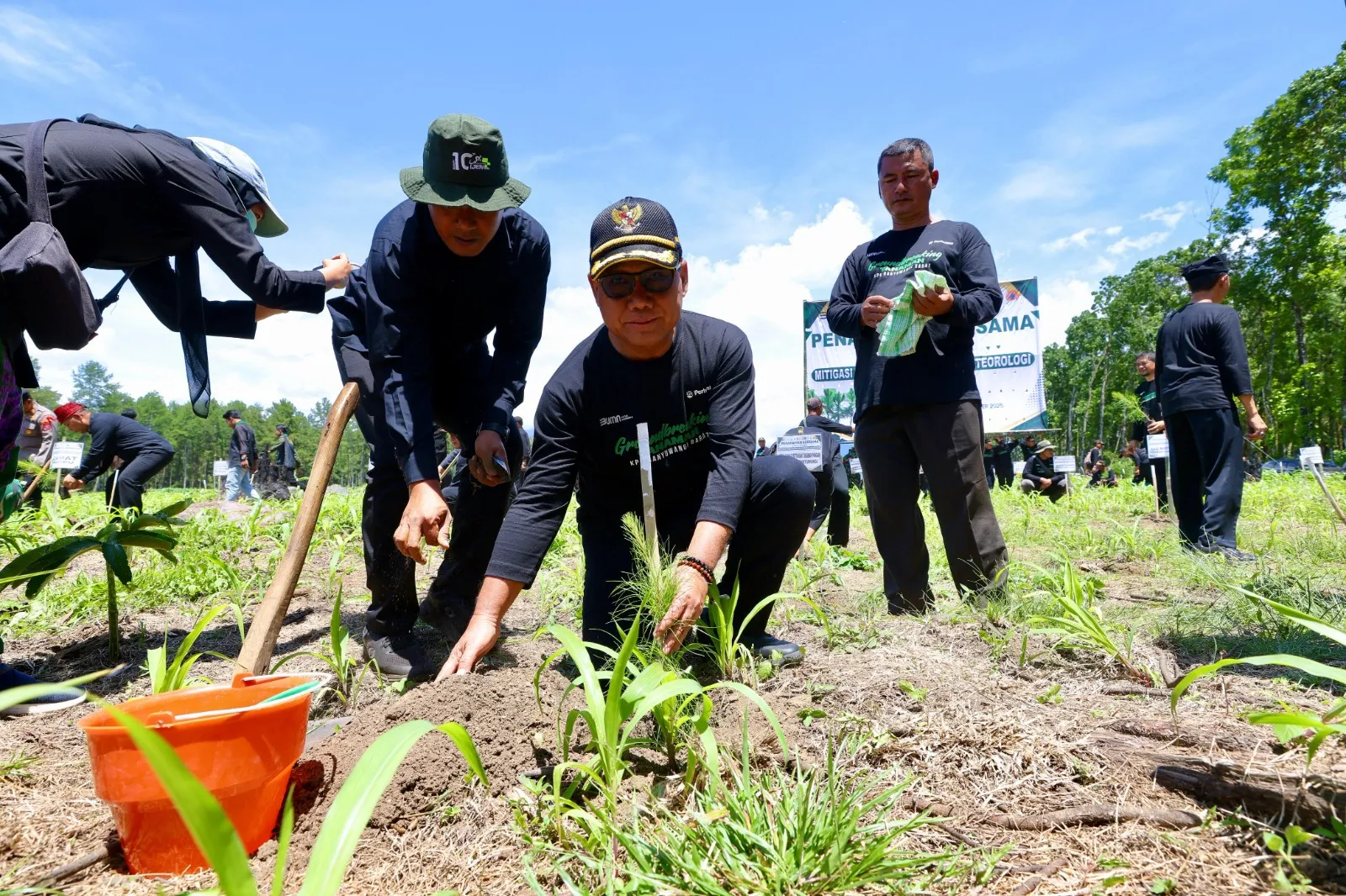 Dorong Reforestasi, Banyuwangi Tanam 200 Ribu Pohon