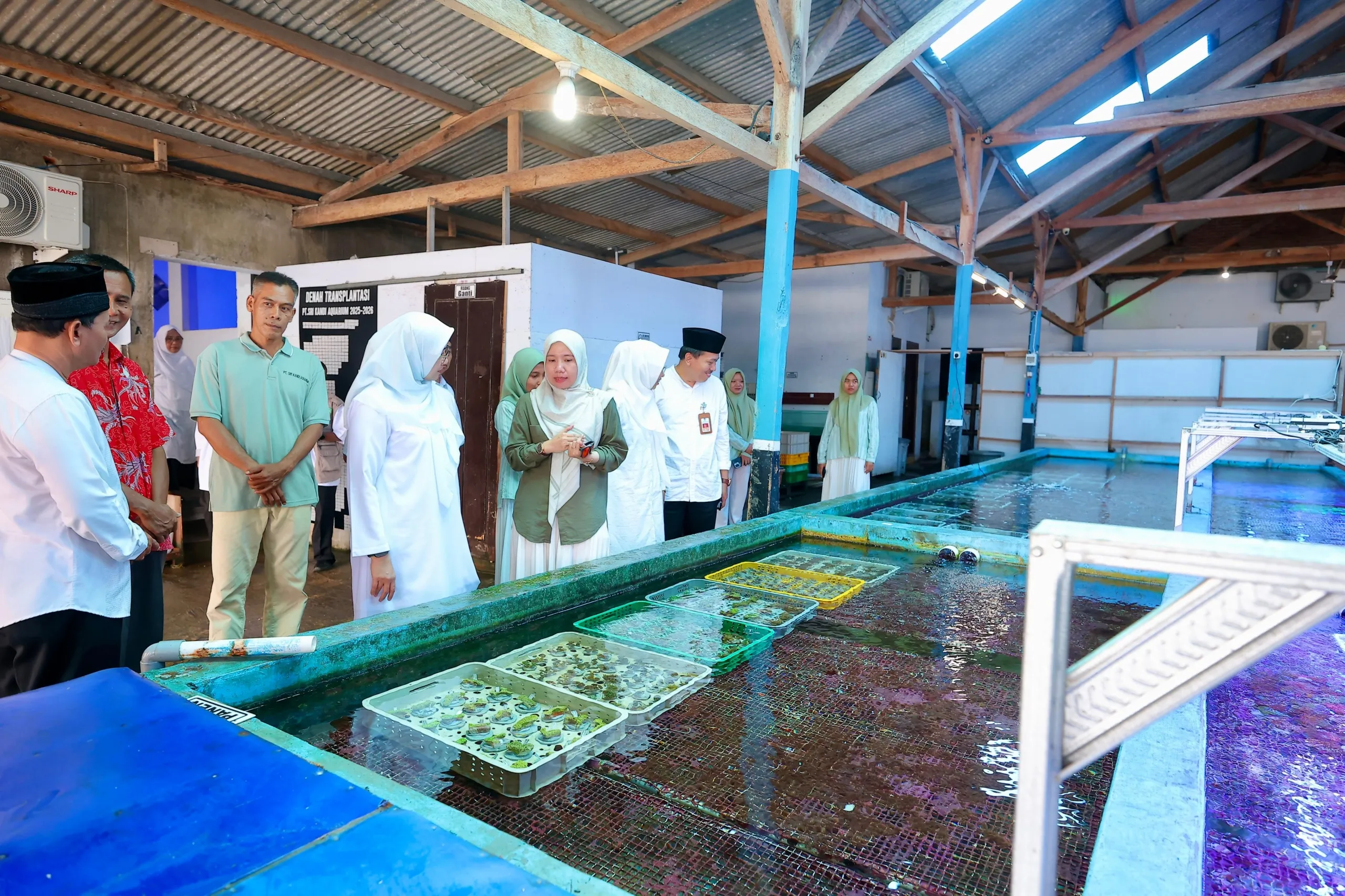 Koral Hias Budidaya Banyuwangi Jadi Primadona Asia, Amerika, dan Eropa