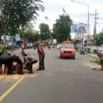 Pohon Sonokeling Tumbang, Akses Jalan Protokol Rogojampi Sempat Lumpuh