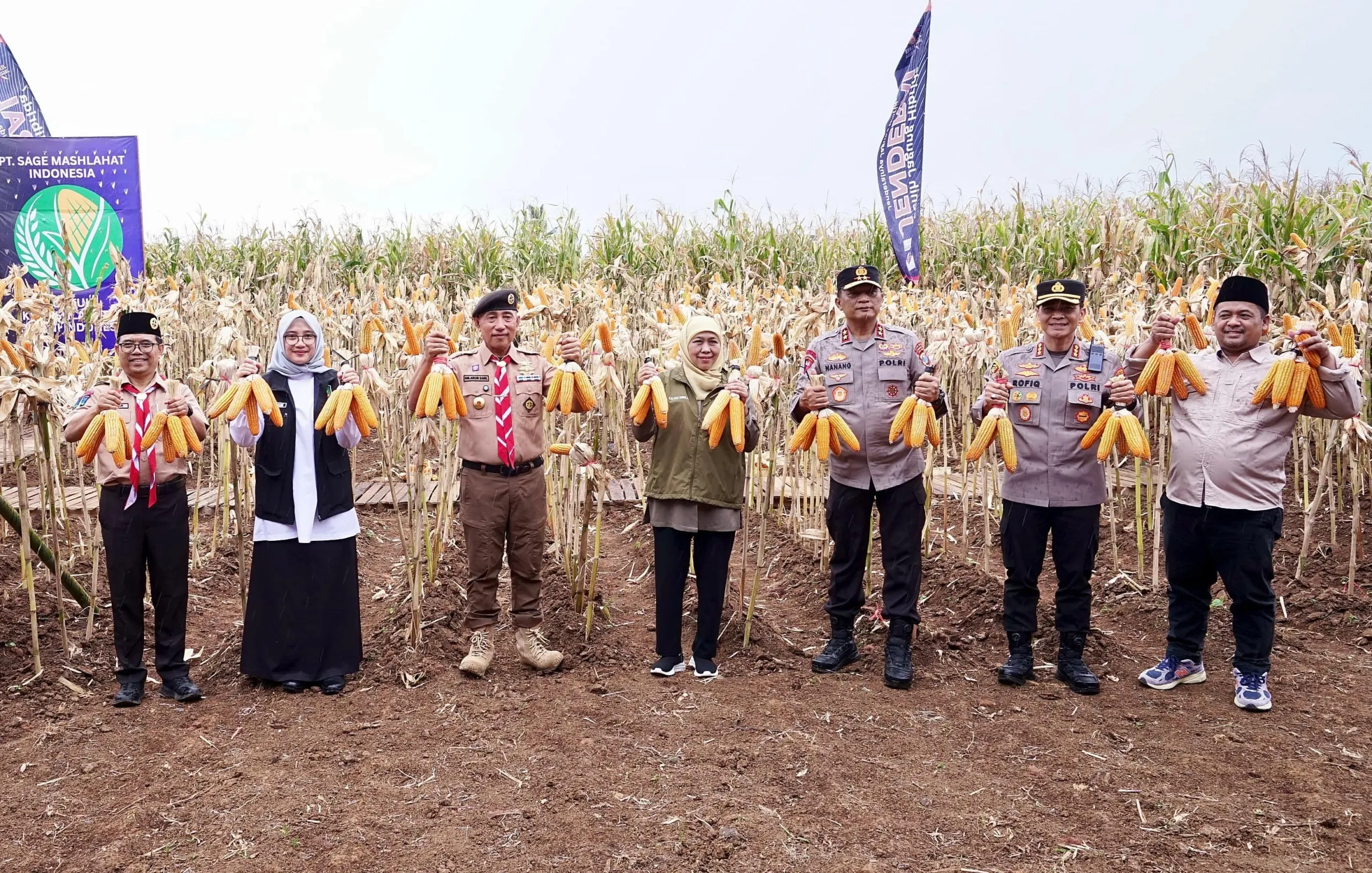 Bersama Bupati Ipuk, Gubernur dan Kapolda Jatim Panen Raya Jagung di Banyuwangi