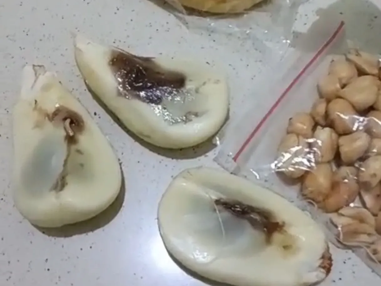 Salak Busuk dan Berbelatung Ditemukan dalam Menu MBG di MI Al-Amin Pekiringan