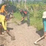 Babinsa Posramil 24 Siliragung Bersama Masyarakat, Gotong Royong Bangun Akses Jalan Pertanian